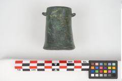 Foto von Bronzedosenortband (NHMW-PRAE-025860)